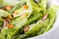 Caesar Salad Royalty Free Stock Photo