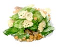 Caesar salad with chicken breast, croutons, eggs and tomatoes. Watercolor illustration isolated on white background.