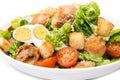 Caesar salad with chicken, croutons and parmesan in a plate isolated on a white background Royalty Free Stock Photo