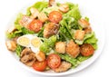 Caesar salad with chicken, croutons and parmesan in a plate isolated on a white background Royalty Free Stock Photo