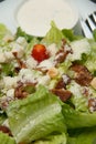 Caesar salad croutons, bacon, parmesan cheese and Caesar dres Royalty Free Stock Photo