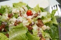 Caesar salad croutons, bacon, parmesan cheese and Caesar dres Royalty Free Stock Photo
