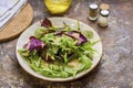 8. Caesar Salad by Gordon Ramsay Royalty Free Stock Photo