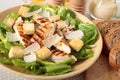 Caesar salad with griddled chicken and lettuce Royalty Free Stock Photo