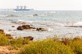 Blooming yellow grassy flowers, fishing fishermen on flat stone, many surfers in the Mediterranean sea waters and Orot Rabin, a Royalty Free Stock Photo