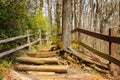 Caesars head state park hiking track through the forest and exposed tree roots Royalty Free Stock Photo