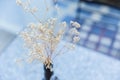 Cafe decoration, dried flower decorate in vase at coffee shop