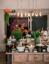 Cafe interior decoration old wood counter with tropical plant pots and ceramic trays with assorted pastries