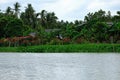 A nifty view of waterfront houses Royalty Free Stock Photo