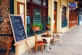 A Cafe in Pensacolas Historic Seville District