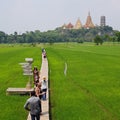 Cafe with ricefield