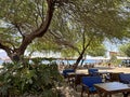 Cafe tables under the trees on Dekel Beach Royalty Free Stock Photo