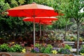 Cafe with wooden chairs and colorful flowers under a big red umbrellas on the island of Mainau Royalty Free Stock Photo