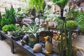 Cafeteria Interior with modern design and furniture decorated with plenty of green plants and wood materials in Vietnam, November