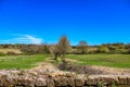 The Caffarella park in the city of Rome