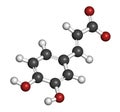 Caffeic acid molecule. Intermediate in the biosynthesis of lignin. 3D rendering. Atoms are represented as spheres with Royalty Free Stock Photo