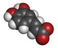 Caffeic acid molecule. Intermediate in the biosynthesis of lignin. 3D rendering. Atoms are represented as spheres with Royalty Free Stock Photo