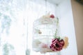 Cage for birds, wedding decorations at the restaurant Royalty Free Stock Photo