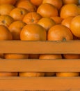 Oranges in the orange crate. Cage full of oranges