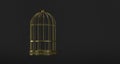 Cage gold symbol of freedom