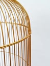 Cage grid close-up. Gold tall metal bird cage on white background