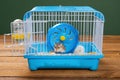 A cage with two small hamsters Royalty Free Stock Photo