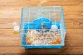 A cage with two small hamsters Royalty Free Stock Photo