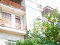 Caged balcony multistory house with grapefruit tree load of dark yellow pomelos hanging on branch ready to harvest in Hanoi,