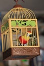 Caged bird Royalty Free Stock Photo