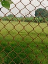 Caged birds, natural images Royalty Free Stock Photo