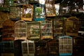 Cages of the bird markets of Malang, Indonesia