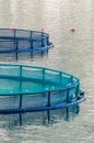 Cages for fish farming