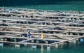 Cages for fish farming