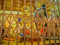 Caging preserves precious relics in Buddhist centre Royalty Free Stock Photo