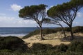 CAGLIARI: Beach south of Sardinia - pintau Sea