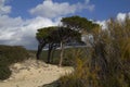 CAGLIARI: Beach south of Sardinia - pintau Sea - Sardinia