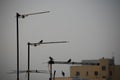 Cagliari city, satellite dish with birds Royalty Free Stock Photo