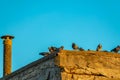 Cagliari city, satellite dish with birds Royalty Free Stock Photo