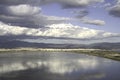 Cagliari: Lagoon of Molentargius - Sardinia