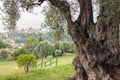 Grimaldi castle over Cagnes sur mer Royalty Free Stock Photo