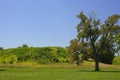 Cahokia mound