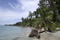 Cahuita National Park beach, Costa Rica