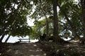 Cahuita National Park beach, Costa Rica