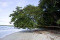 Cahuita National Park beach, Costa Rica