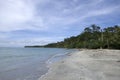 Cahuita National Park beach, Costa Rica, Caribbean Sea Royalty Free Stock Photo