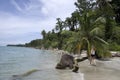 Cahuita National Park beach, Costa Rica Royalty Free Stock Photo