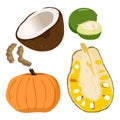 Caimito, Coconut, Pumpkin, Tamarindus indica, Jackfruit - Illustration