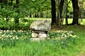 Cairn that flanks a cow pasteur in New England. Taken in Groton, Middlesex County, Massachusetts, United States