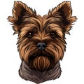 Cairn terrier dog logo, clear lines, emblem, symbol, sign, mascot, portrait Royalty Free Stock Photo
