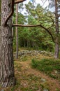 Cairn In A Wooded Area Royalty Free Stock Photo